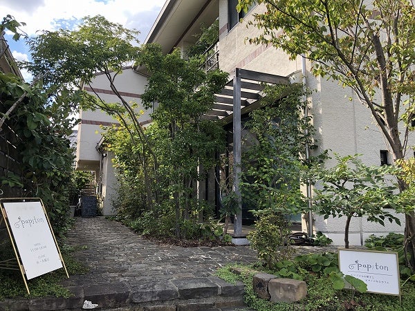 ソパピラチーズケーキのレシピ