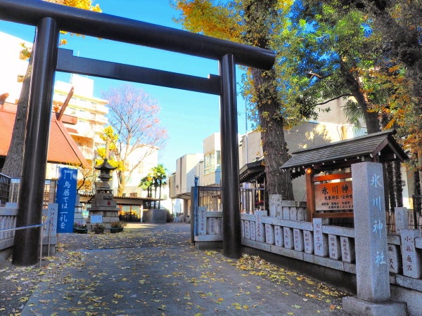 高円寺】日本唯一の気象神社！高円寺氷川神社は毎月変わる御朱印も注目！ | リビングむさしのWeb