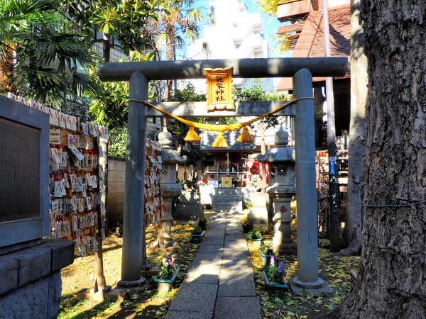 高円寺】日本唯一の気象神社！高円寺氷川神社は毎月変わる御朱印