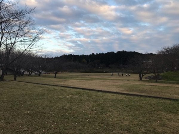 これから楽しみな街の近くにある、大好きな公園♡ | リビングかしわWeb