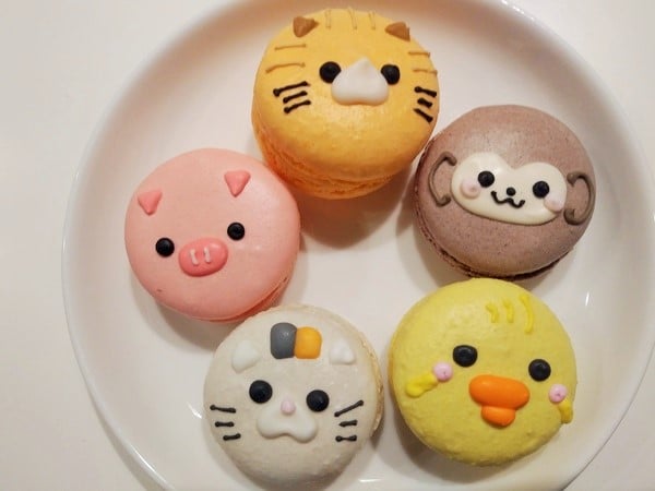 ケーキだけじゃない！マカロンも可愛すぎる♡カトルセゾン菓子夢＠衣山
