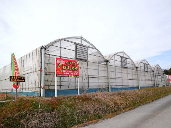 愛知県東浦町 いちご狩り天国 持ち込み自由で食べ放題と食べ比べ 春香園 リビング名古屋web
