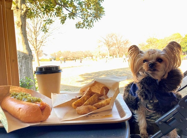 木場公園 公園内の Kibaco キバコ カフェ で散歩休憩ランチ リビング東京web