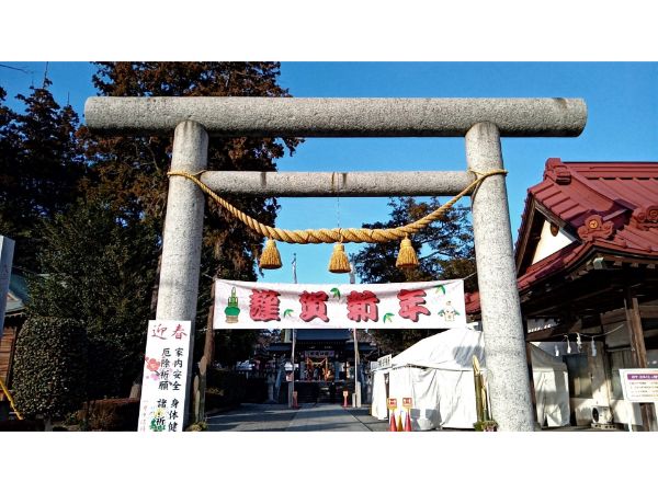 上三川 日本一の平和の剣 で災いを断ち斬る 白鷺 しらさぎ 神社 で初詣 リビング栃木web