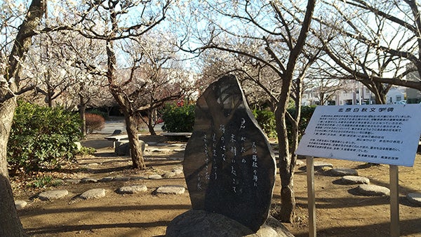 溝の口 梅の名所です 久地梅林公園 久本薬医門公園 リビング田園都市web