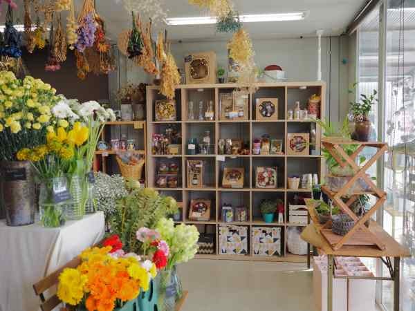 荒尾 可愛い花々に癒されるflower Shop Embellir アンベリール リビングくまもとweb