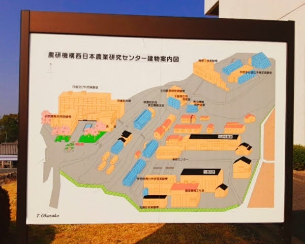 広島県福山市 ゆったりお花見を 西日本農業研究センター リビング広島web