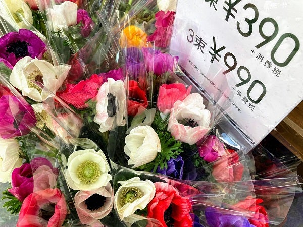 銀座 ユニクロの 花 が驚きの1束390円 リビング東京web