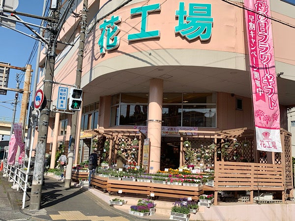 母の日 記念日にリーズナブルなお花で をギフト 花工場 溝の口店 リビング田園都市web