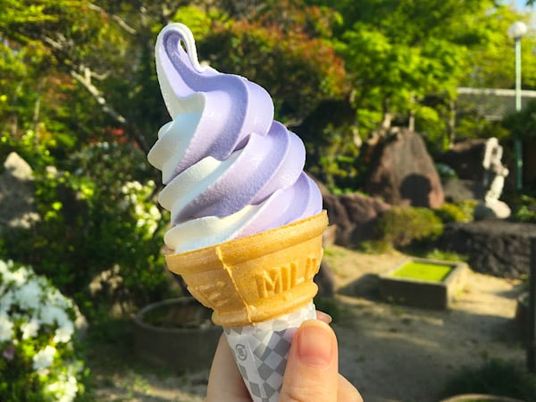 北九州／吉祥寺】風に揺れる藤の花を眺めながら、藤ソフトクリーム