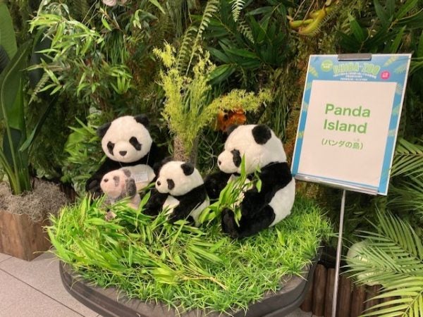映える”！300匹のぬいぐるみ動物園 「CHIBA ZOO 」開催中