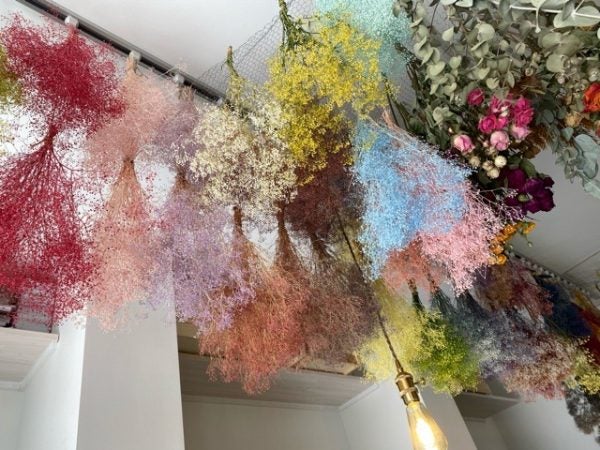 石神井公園 ふわたんで花に囲まれながら一息を リビング東京web