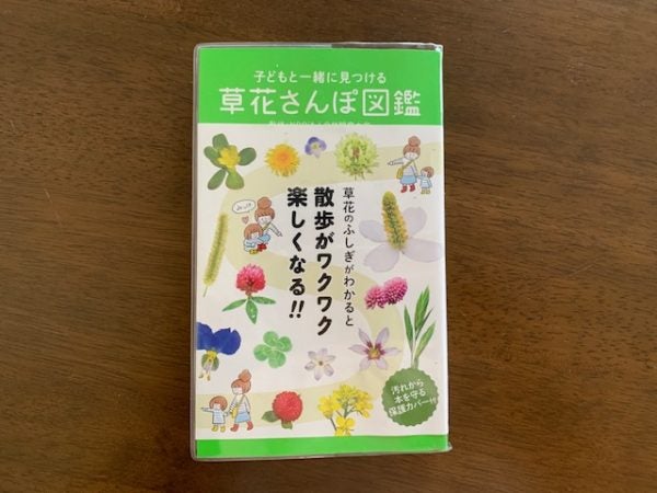 散歩が楽しくなる 花の楽しみ方 草花図鑑を持ってお出かけ リビングえひめweb