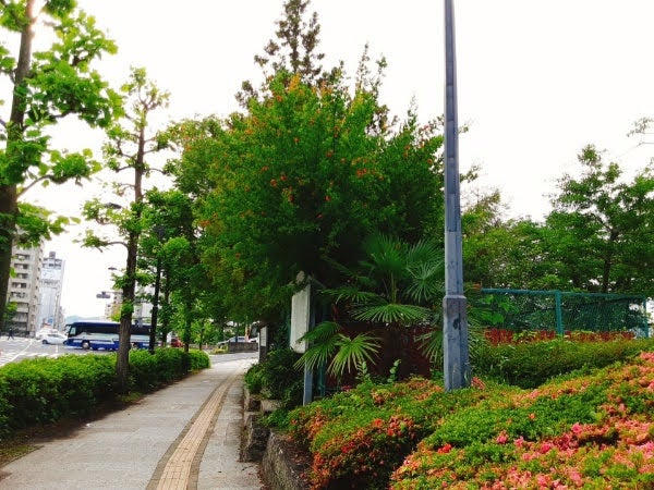 広島市南区 秀玉稲荷神社 広島駅からの散歩道で見つけた神社 リビング広島web