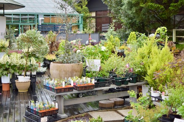 三春町 ここはわたしの遊園地 リビングふくしまweb