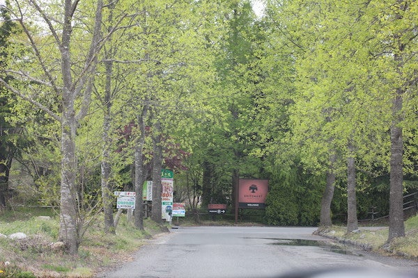 三春 シーズン到来 ガーデニングショッピングと幸せのランチタイム リビングふくしまweb