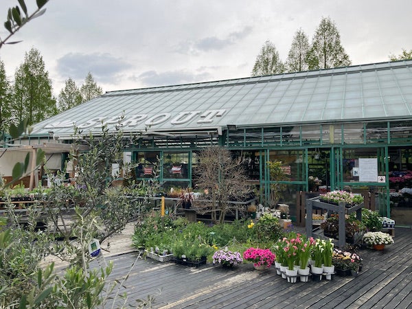 三春 シーズン到来 ガーデニングショッピングと幸せのランチタイム リビングふくしまweb