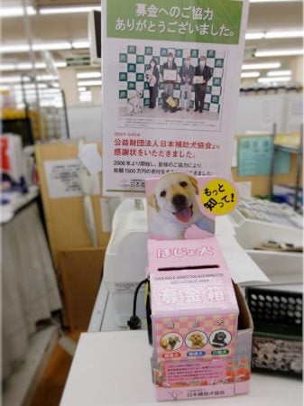 補助犬募金キャンペーン】手作り募金箱コンテスト＠マミーマートグループ | リビング埼玉Web