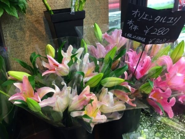 財布にうれしい 毎日を彩るかわいい花がいっぱい アジアナーセリー中央店 リビング仙台web