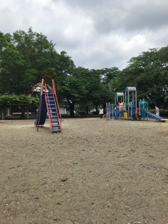 芳賀町 宇都宮周辺の穴場 キッズ大好き遊具すべて揃う かしの森公園 リビング栃木web