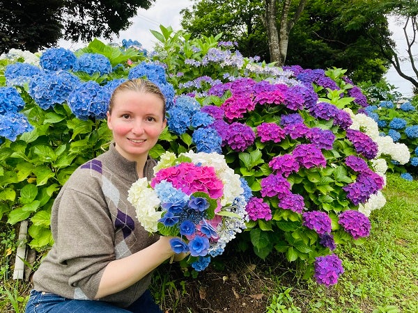 姶良市 アジサイを満喫できる隠れた名所 狭霧神社 白銀公園 今年は6月中旬まで リビングかごしまweb