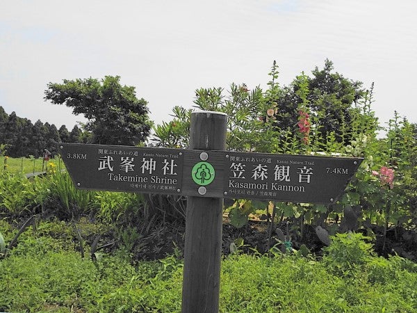 大地の恵み はペットok オーガニック野菜にも注目のカフェ 長柄町 リビング千葉web 大地の恵み はペットok オーガニック野菜にも注目のカフェ 長柄町 リビング千葉web