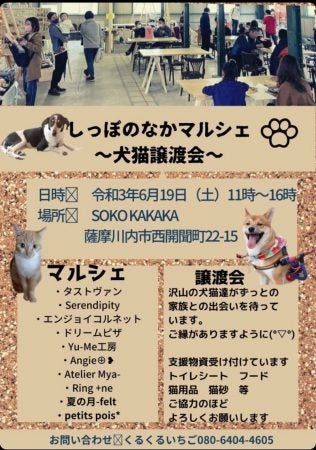 保護犬 保護猫を家族に しっぽのなかマルシェ に行ってきました リビングかごしまweb 保護犬 保護猫を家族に しっぽのなかマルシェ に行ってきました リビングかごしまweb