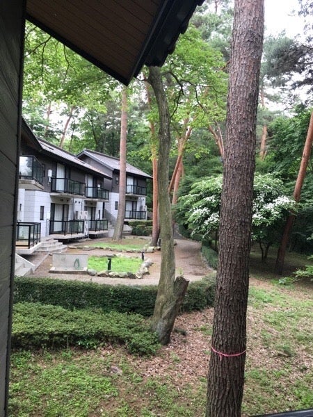 高根沢町 一度は泊まってみたい 温泉付き宿泊施設 道の駅たかねざわ 元気あっぷむら リビング栃木web 高根沢町 一度は泊まってみたい 温泉付き宿泊施設 道の駅たかねざわ 元気あっぷむら リビング栃木web