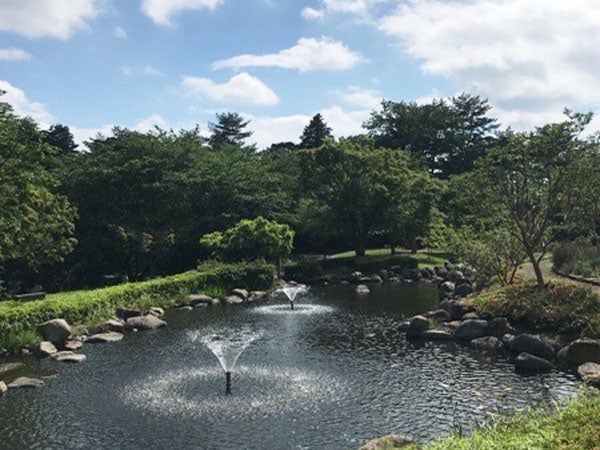 高根沢町 一度は泊まってみたい 温泉付き宿泊施設 道の駅たかねざわ 元気あっぷむら リビング栃木web 高根沢町 一度は泊まってみたい 温泉付き宿泊施設 道の駅たかねざわ 元気あっぷむら リビング栃木web
