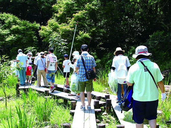 7月25日 日 自由研究向けの夏休み企画 植物観察と標本作り へ リビングかごしまweb