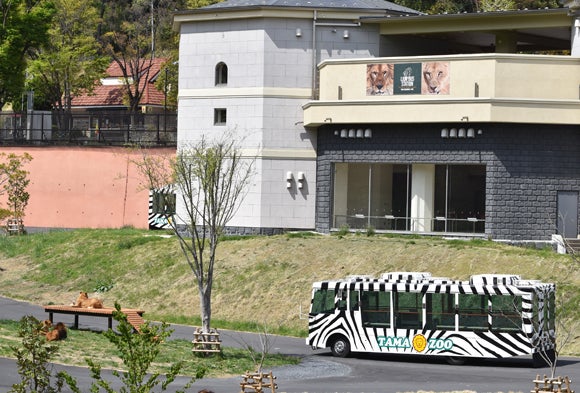 日野 多摩動物公園にライオンバスが帰ってきた リビング多摩web