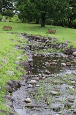 日光市 季節を感じながら楽しめる 丸山公園 リビング栃木web