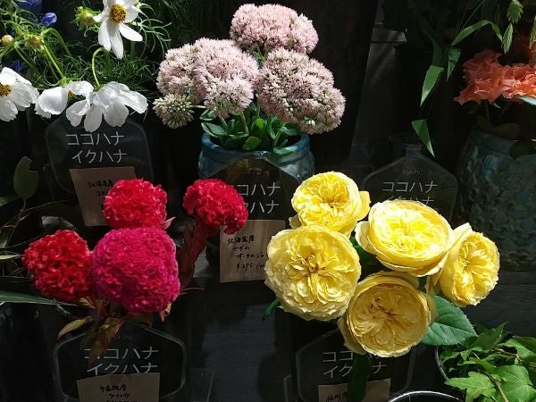 天神 お花屋さんへ行こう 毎日一本受け取れる花のサブスク ハナノヒ リビングふくおか 北九州web