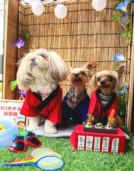 浅草橋 愛犬といつでも気軽に泊まれるホテルのカフェ エゾデリ リビング東京web