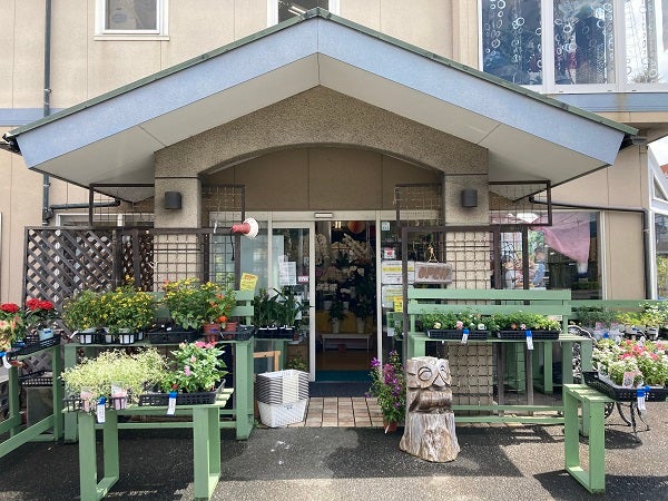 福岡市南区 まるで植物園 探していた植物はここにあるかもしれません リビングふくおか 北九州web