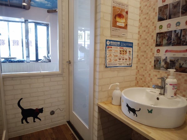 猫ちゃんと極上のふれあいタイムを 伊丹 猫カフェ スマイルアゲイン リビング兵庫web 猫ちゃんと極上のふれあいタイムを 伊丹 猫カフェ スマイルアゲイン リビング兵庫web