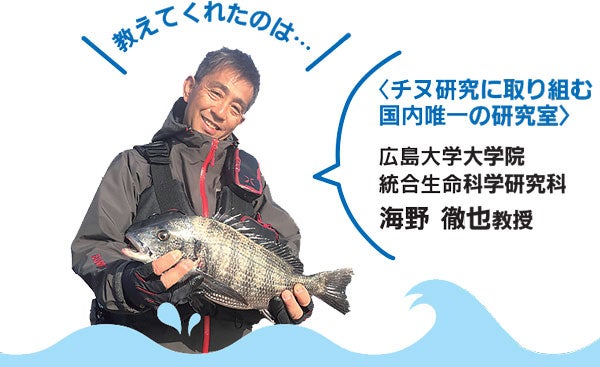 魚魚 とと めし応援キャンペーン お好みソースで臭みオフ チヌ格上げレシピ リビング広島web