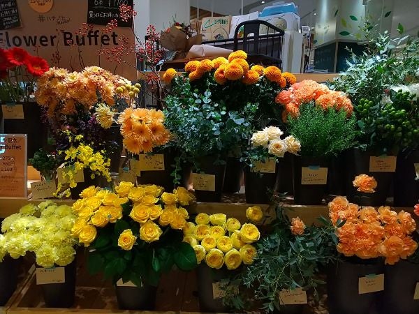 木の葉モール橋本 まるで花市場のような ハナノヒマーケット オープン リビングふくおか 北九州web