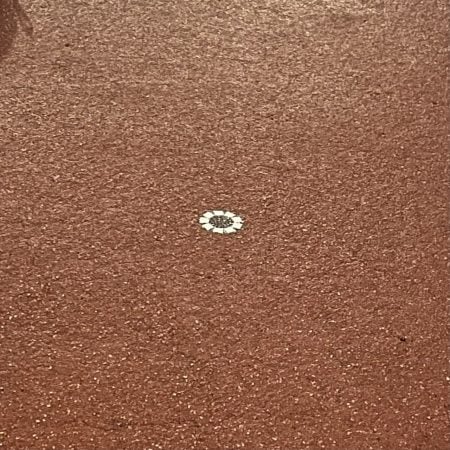 値上げ後のディズニーランドは空いてる 混んでる 復活したエレクトリカルパレードの攻略法は リビングメイト おでかけ ほのぼの美味しいもの日記 リビングメイト リビングくらしナビ