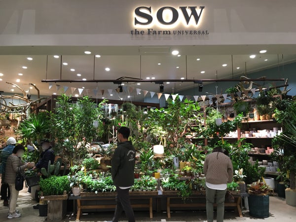 グリーン専門店 Sow The Farm Universal Makuhari ソウ ザ ファーム ユニバーサル マクハリ イオンモール幕張新都心にオープン リビング千葉web