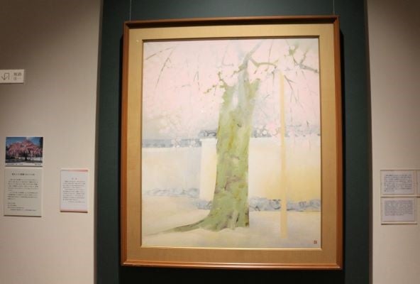 広尾】山種美術館 「奥村土牛」今も愛され続ける日本画の巨匠