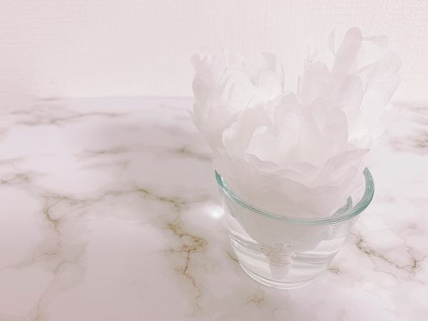 おうち時間 コーヒーフィルターで乾燥対策 リビング栃木web