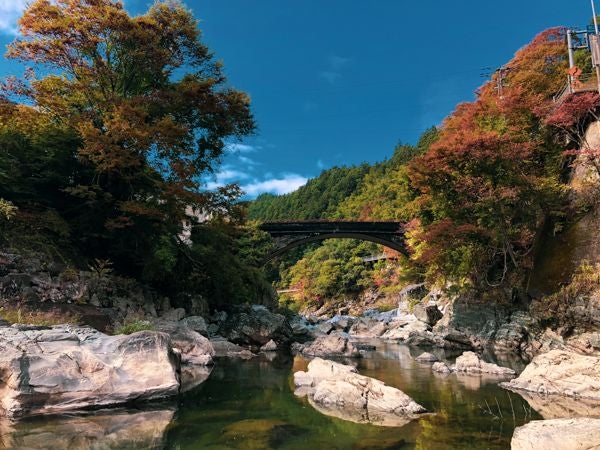 冬休みに行こう♪松山市内から約1.5時間の絶景スポット@久万高原町