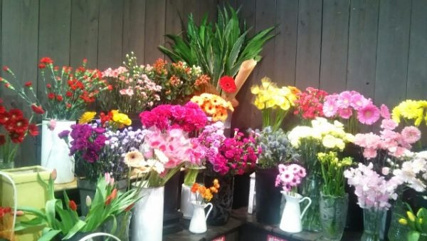 郡山市 カラフルでセンスあふれるお花屋さん はなやはな リビングふくしまweb