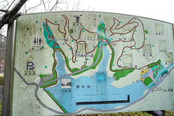 四国中央市 いつかキャンプもしてみたい 森と湖畔の公園 リビングえひめweb