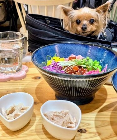 蔵前 愛犬と一緒にポキ専門店で絶品ランチ 美味しくて驚きました パラダイスポキ リビング東京web
