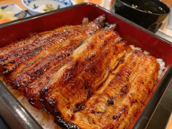 風船鰻
