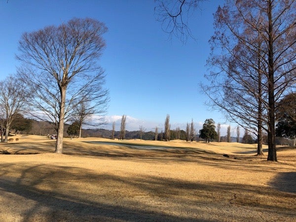 【大人気】関東国際カントリークラブ S-YARD メンズ ゴルフクラブ セット