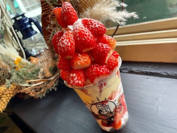 宇都宮】甘〜い苺が1パック分食べられる映えパフェ！「髙橋農園釜川店