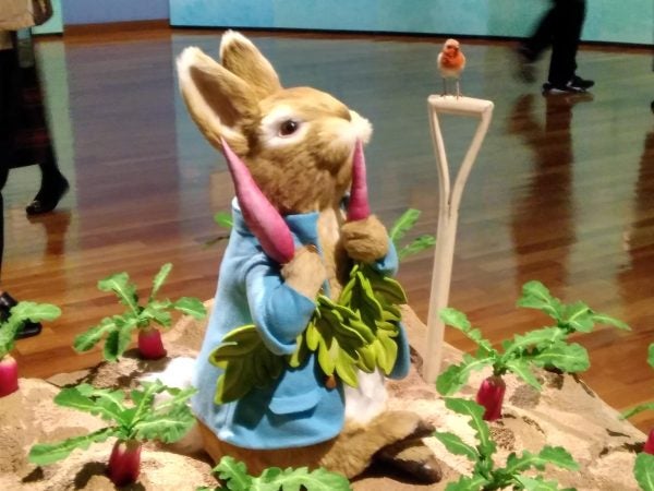誕生の原点を知る 出版1周年 ピーターラビット 展 へgo スタッフの東京コレクション リビング東京web